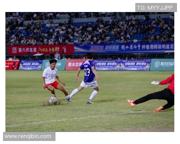 法国足球明星阵容：领军人物与新兴力量的完美结合