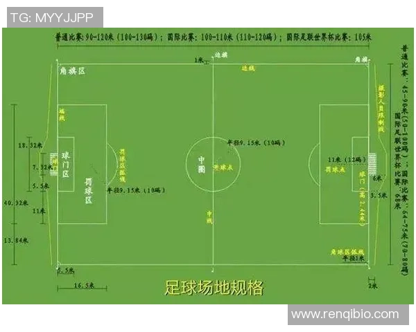 球星足球伪装背后的战术玄机与竞技智慧全面深度解析